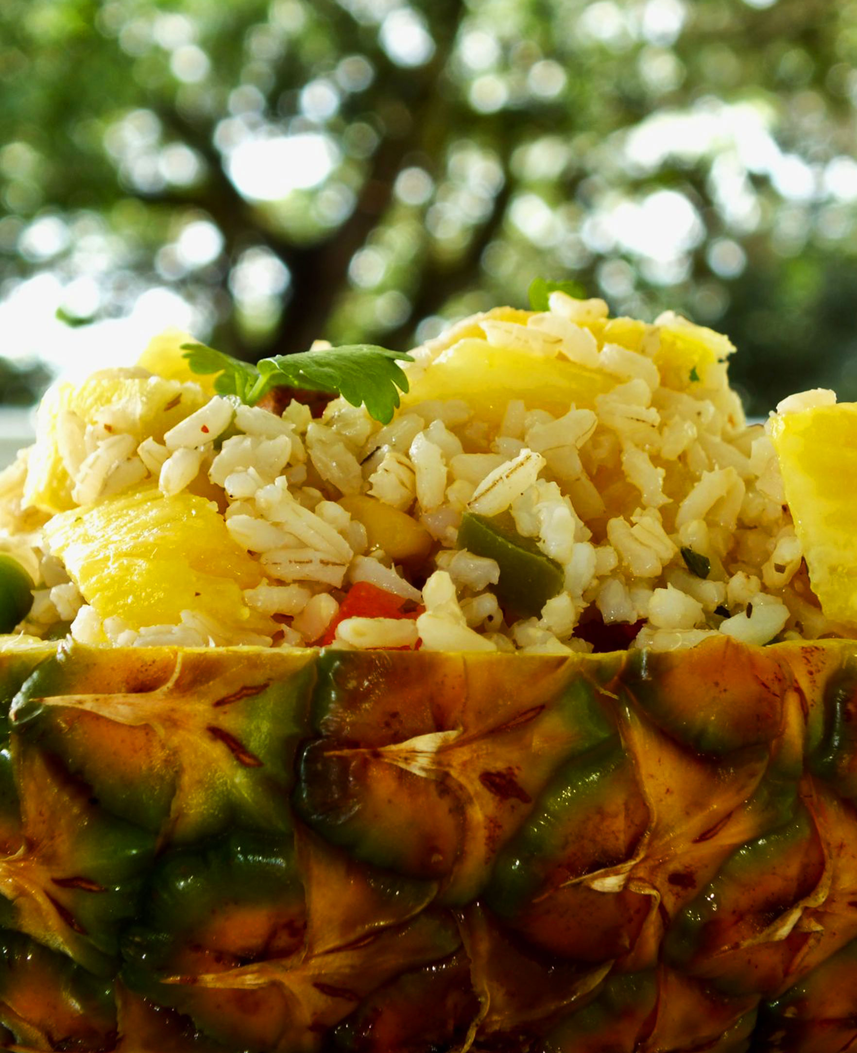 PRDT-2-sans-gluten-allergene-guadeloupe-antilles-formation-conseils-sanitaire-atelier-culinaire-consulting.jpg